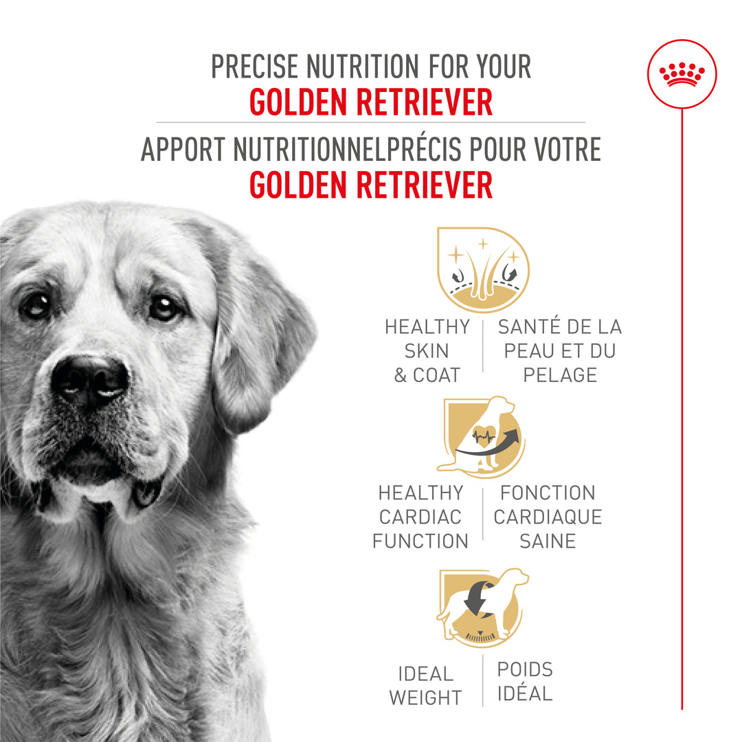 Royal Canin Chien Adulte Nourriture Sèche Golden Retriever