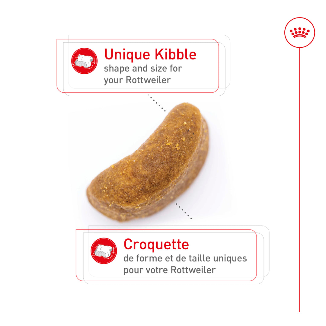 Royal Canin Chien Adulte Nourriture Sèche Rottweiler