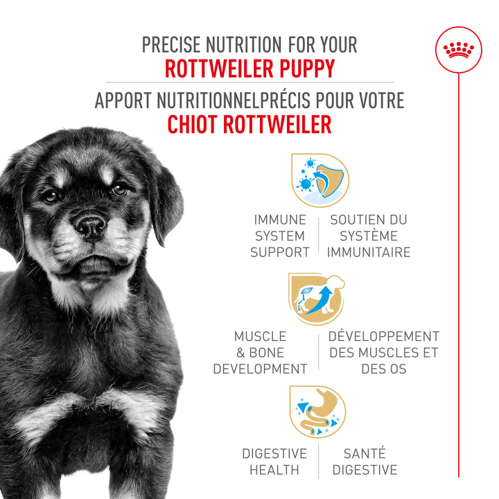 Royal Canin Chien Adulte Nourriture Sèche Rottweiler