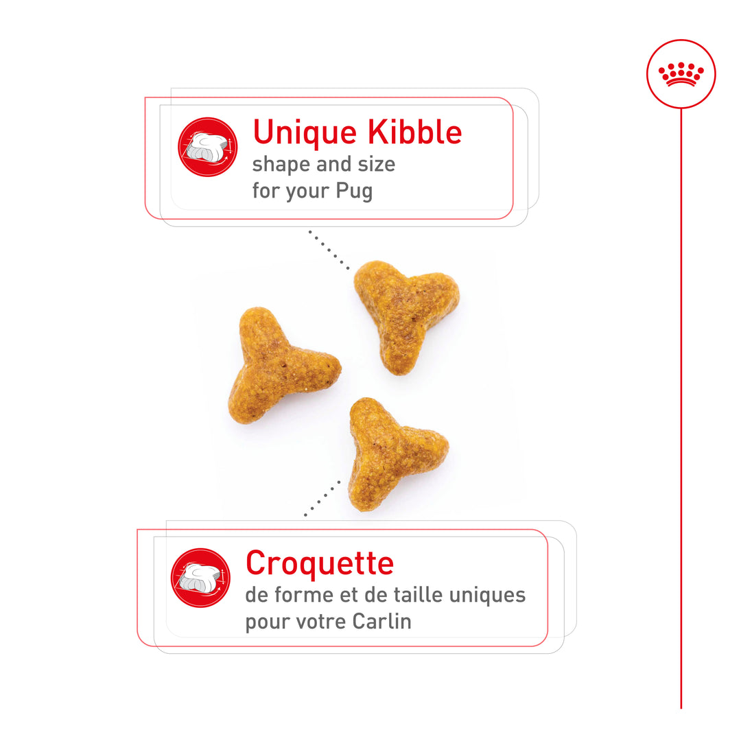 Royal Canin Chien Adulte Nourriture Sèche Carlin