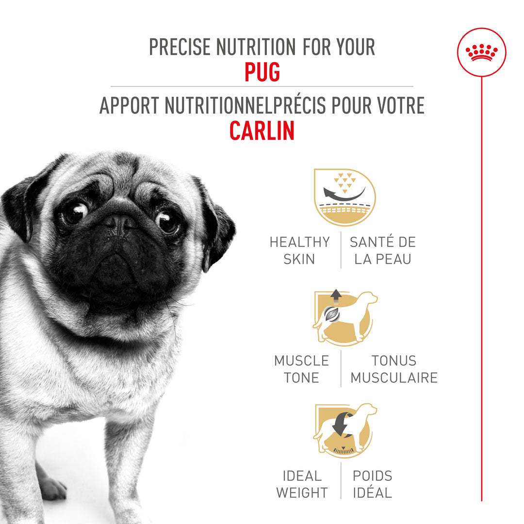 Royal Canin Chien Adulte Nourriture Sèche Carlin