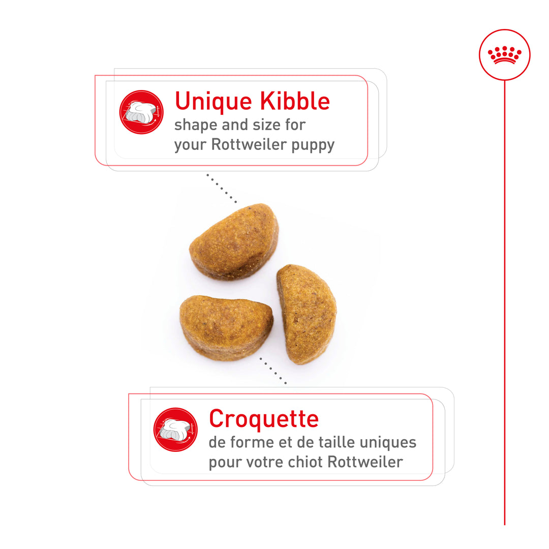 Royal Canin Chiot Nourriture Sèche Rottweiler