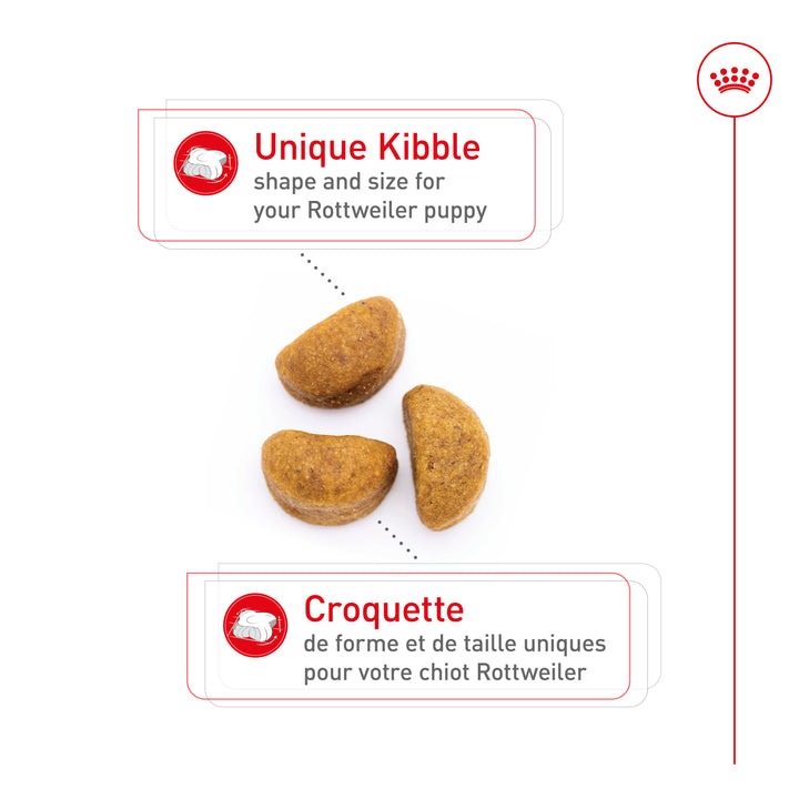 Royal Canin Chiot Nourriture Sèche Rottweiler