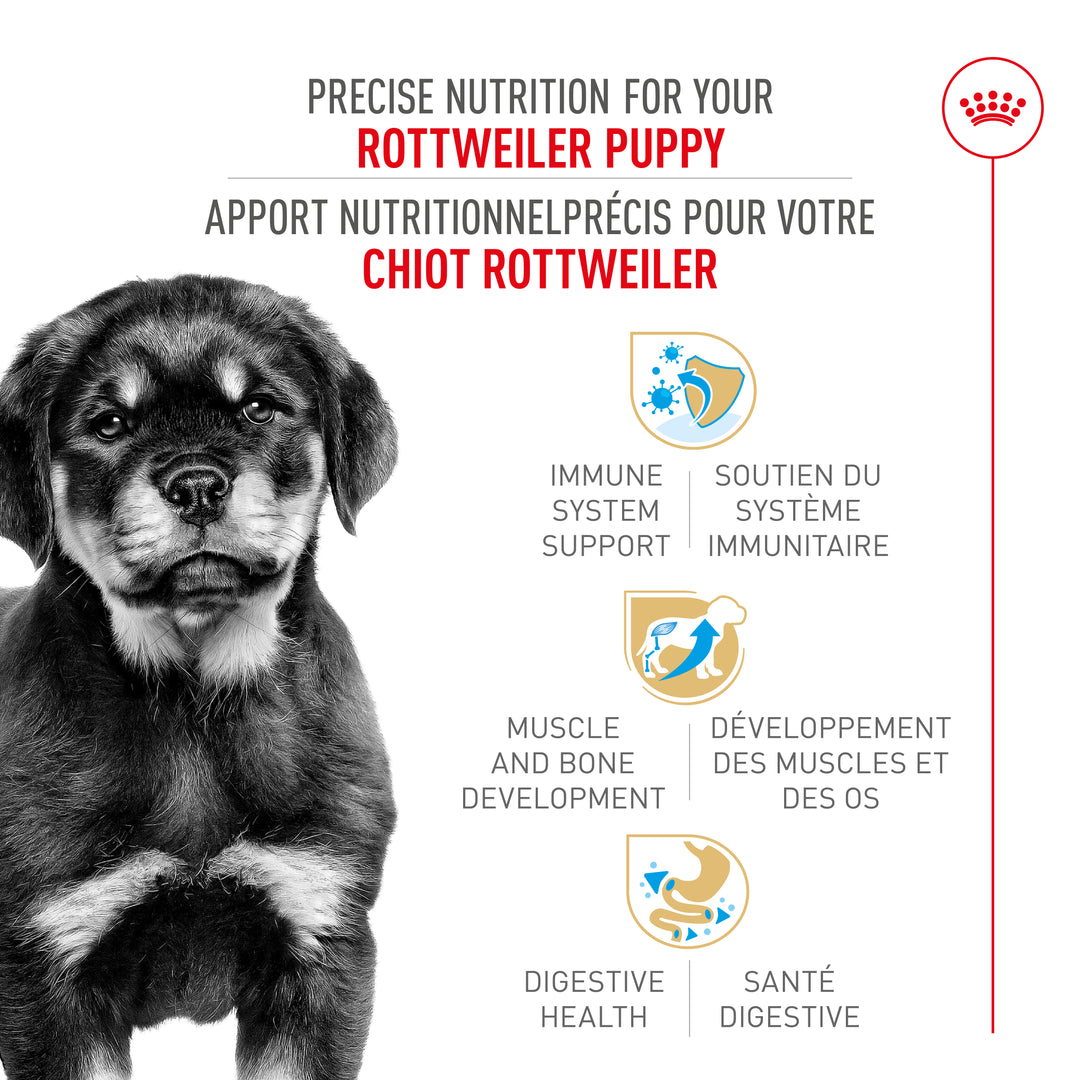 Royal Canin Chiot Nourriture Sèche Rottweiler