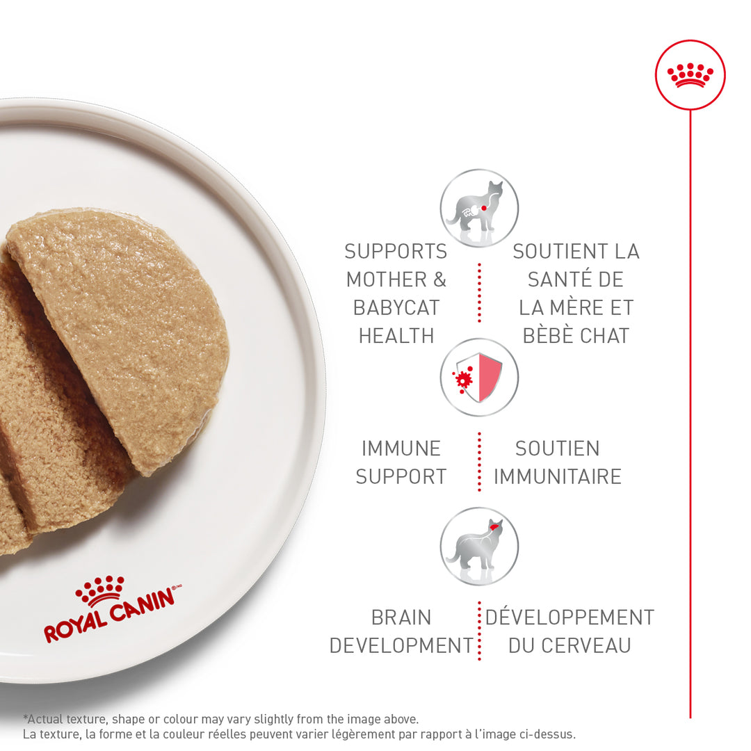 Royal Canin Mother and Kitten Wet Food Mousse