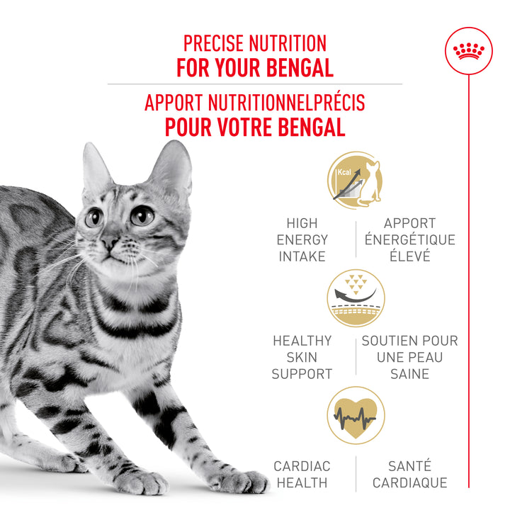 Royal Canin Chat Nourriture Sèche Adulte Bengal