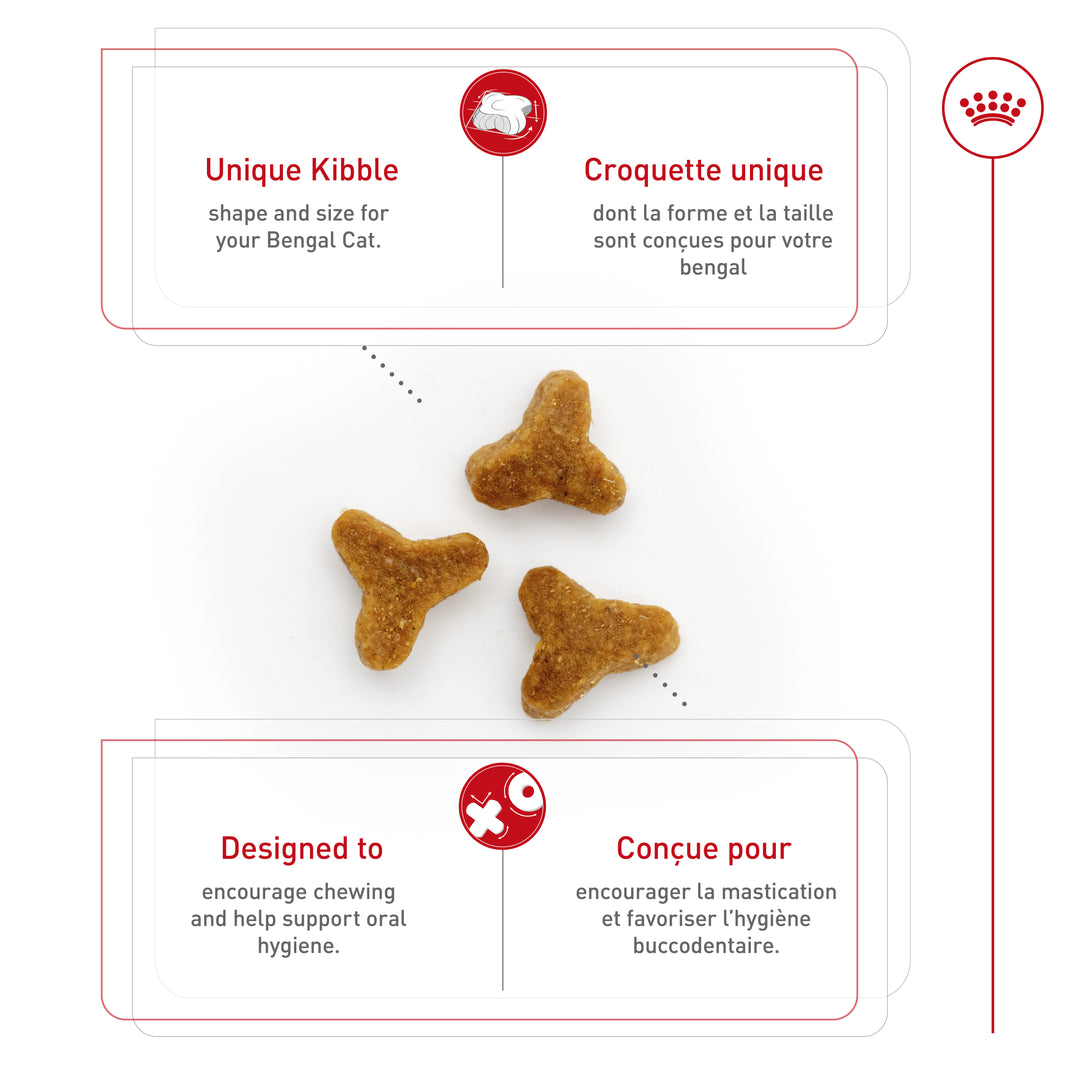 Royal Canin Chat Nourriture Sèche Adulte Bengal