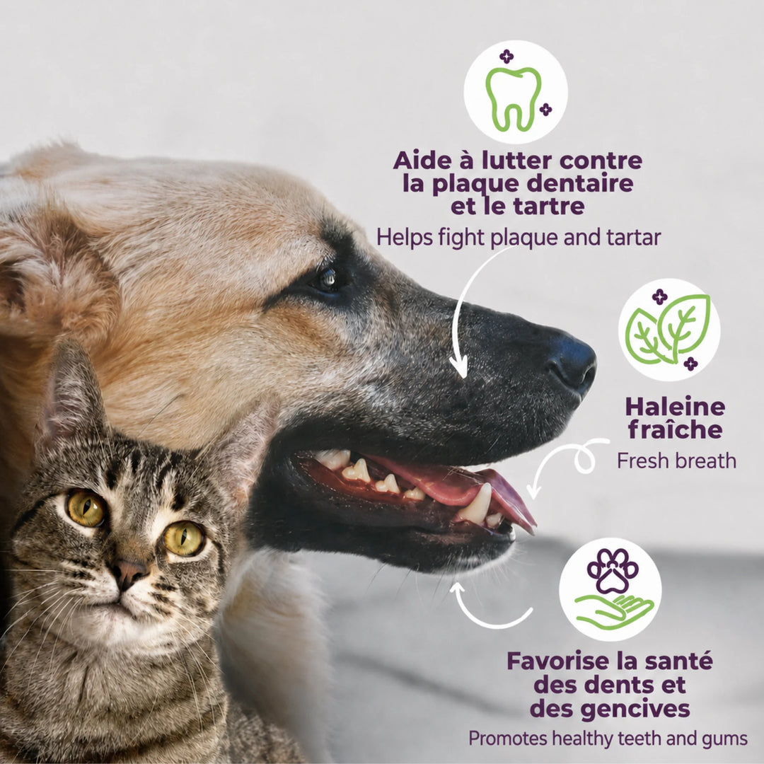 Buco+ supplement for fresh breath and healthy teeth, dogs and cats under 15 kg