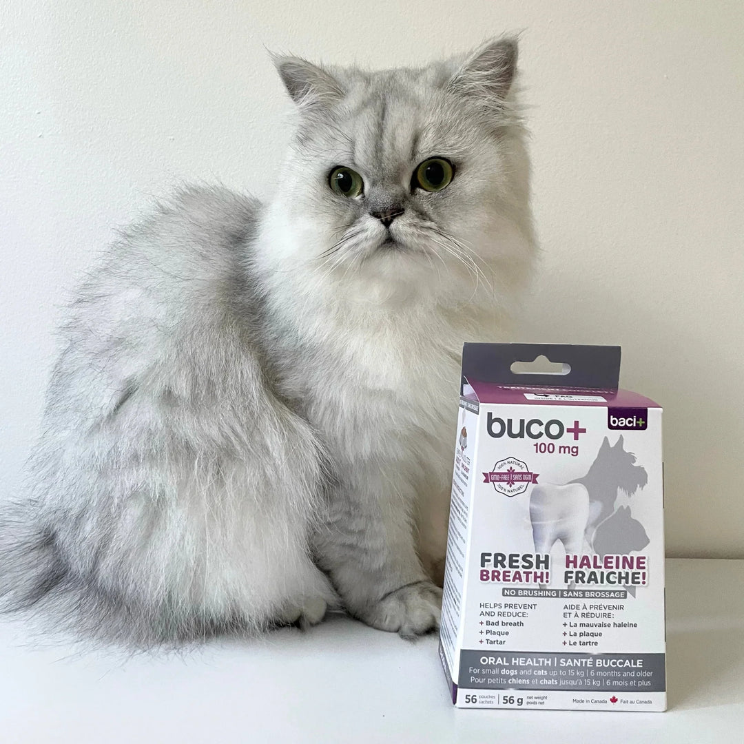 Buco+ supplement for fresh breath and healthy teeth, dogs and cats under 15 kg