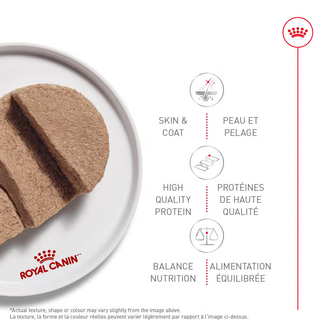 Nourriture humide en pâté et sauce pour le soin de la peau sensible chez le chien