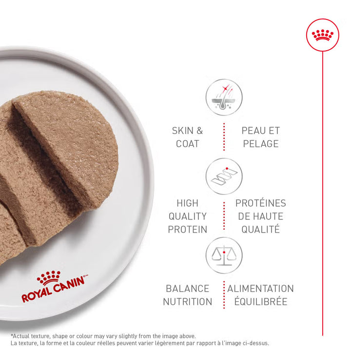 Nourriture humide en pâté et sauce pour le soin de la peau sensible chez le chien