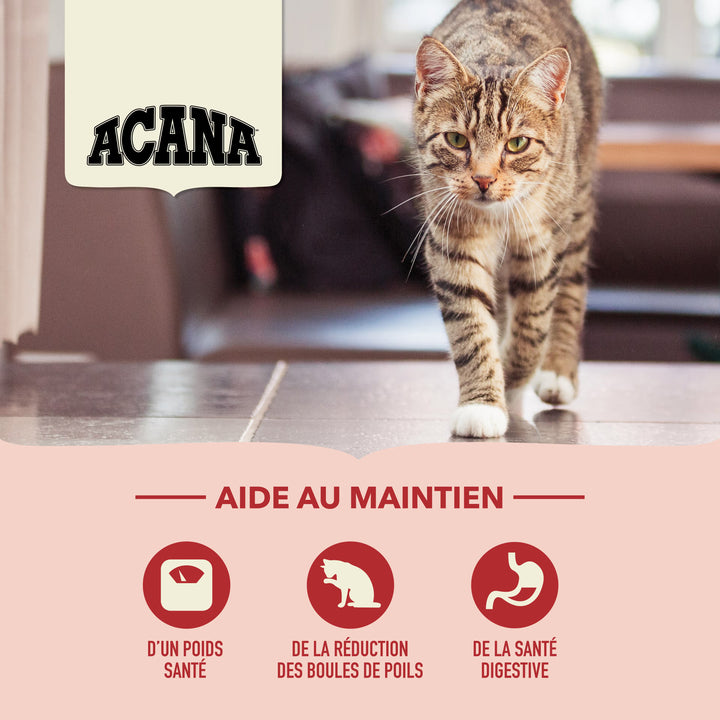 Indoor Entrée Dry Food with Chicken for Indoor Cats