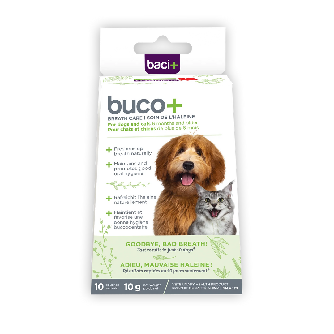 Supplément Buco+ 10 jours pour rafraîchir l'haleine des chiens et des chats