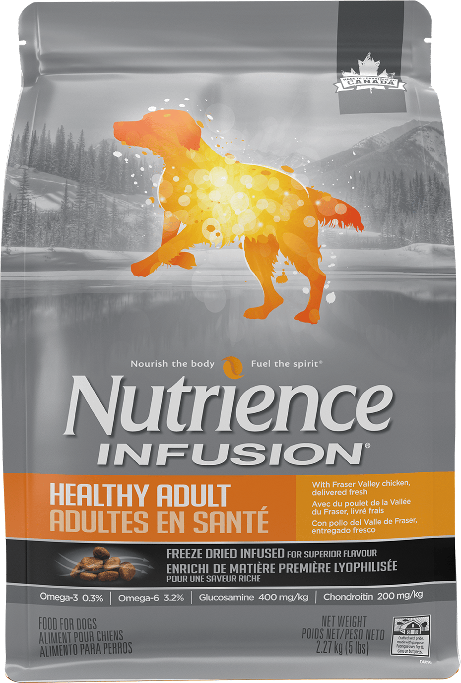 Nutrience Infusion Chien Adulte Santé Poulet