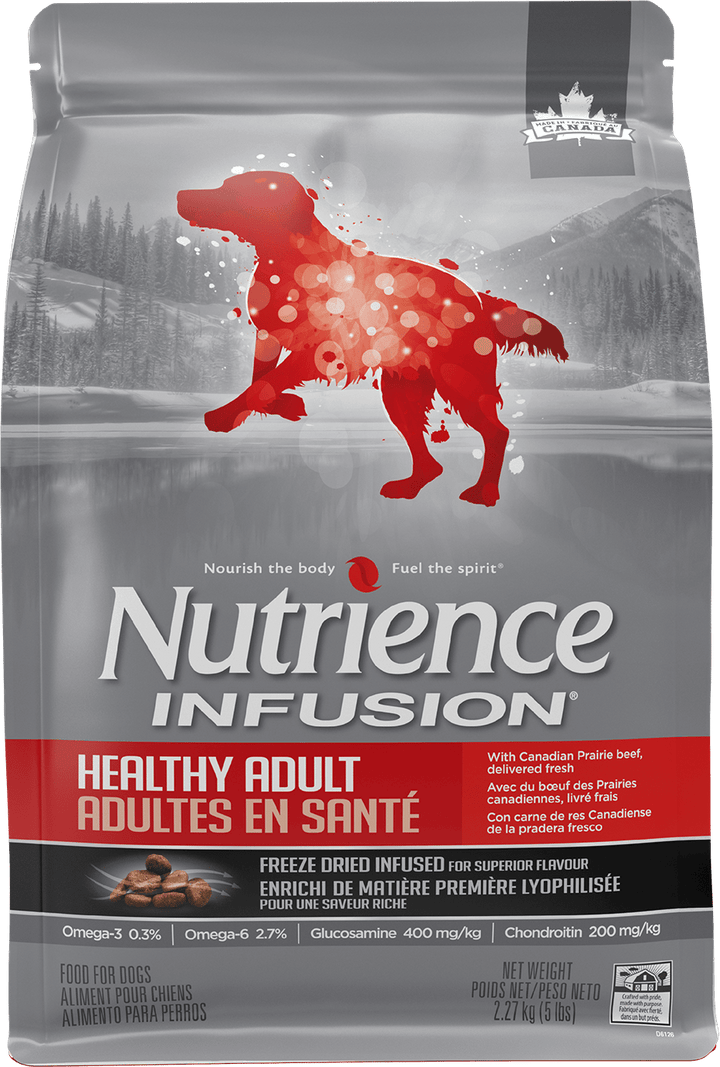 Nutrience Infusion Chien Adulte Santé Bœuf