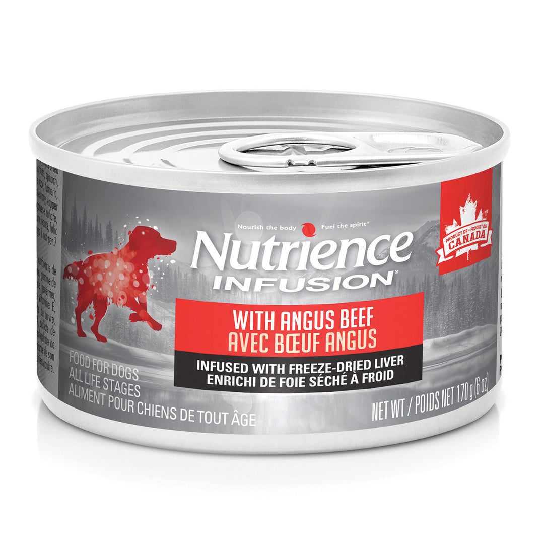 Nutrience Infusion Pâté Chien Bœuf Angus