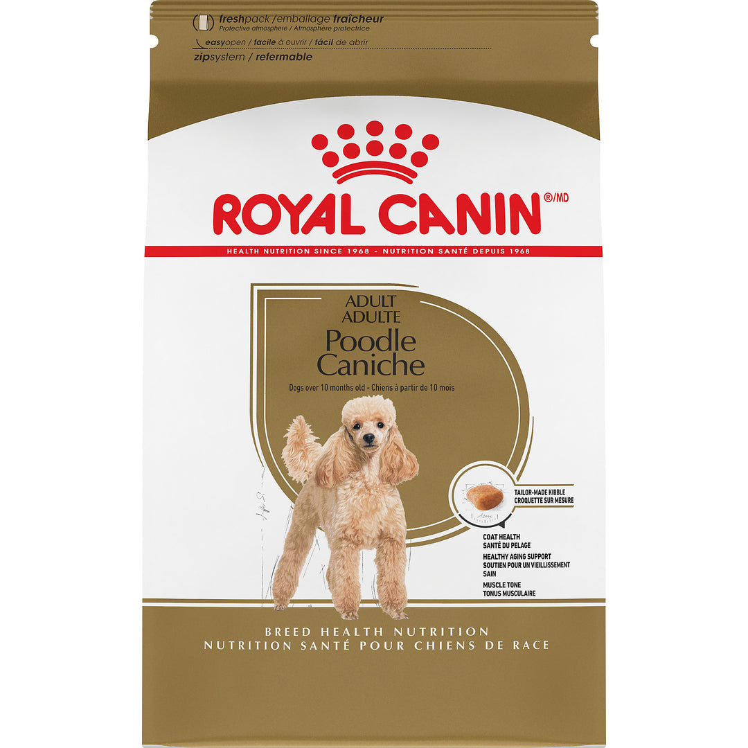 Royal Canin Chien Adulte Nourriture Sèche Caniche