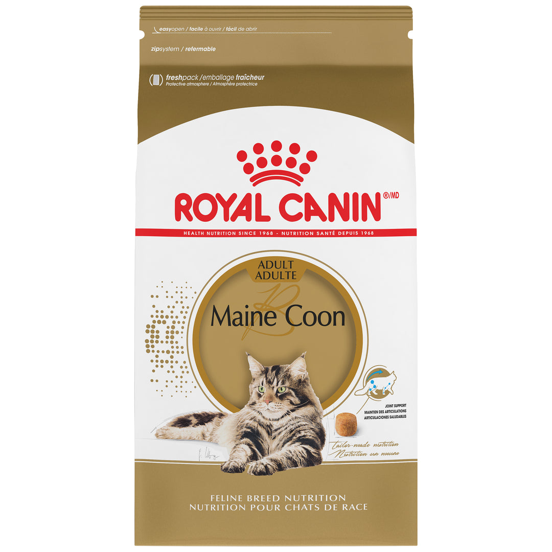 Royal Canin Chat Nourriture Sèche Adulte Maincoon