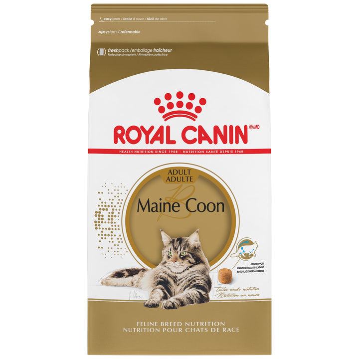 Royal Canin Chat Nourriture Sèche Adulte Maincoon